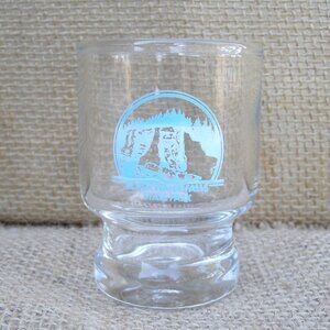 Vintage Blackwater Falls State Park WV Shot Glass